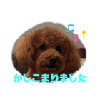 ♡コロちゃん♡（個別スタンプ：31）