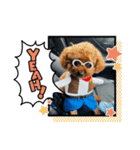 coco スタンプ②（個別スタンプ：2）