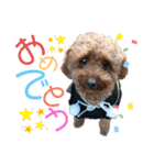 coco スタンプ②（個別スタンプ：7）