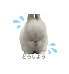 うさぎのルナ（個別スタンプ：6）
