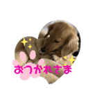 みるちゃん①（個別スタンプ：5）