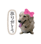 みるちゃん①（個別スタンプ：8）
