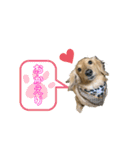 みるちゃん①（個別スタンプ：13）