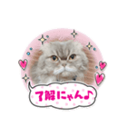 桃次郎シャチョサン（個別スタンプ：3）