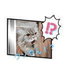 桃次郎シャチョサン（個別スタンプ：7）