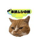 18歳のまんちちゃん。part6（個別スタンプ：1）