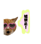 18歳のまんちちゃん。part6（個別スタンプ：3）