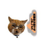 18歳のまんちちゃん。part6（個別スタンプ：4）