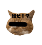 18歳のまんちちゃん。part6（個別スタンプ：15）