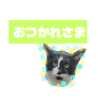 猫で簡単挨拶・返事  （デカ文字）（個別スタンプ：16）