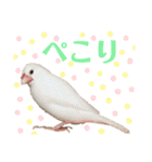 毎日使えるうちの子スタンプ第2段❣️（個別スタンプ：8）