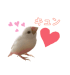 毎日使えるうちの子スタンプ第2段❣️（個別スタンプ：33）