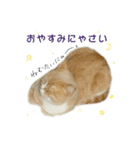 ぼくはロン。（個別スタンプ：2）