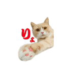 ぼくはロン。（個別スタンプ：13）