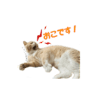 ぼくはロン。（個別スタンプ：14）