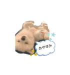ポメラニアンもちの日常2（個別スタンプ：5）