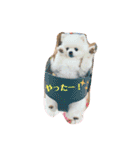 ポメラニアンもちの日常2（個別スタンプ：24）