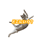 待ち合わせで使うかしら？（個別スタンプ：1）