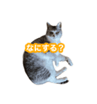 待ち合わせで使うかしら？（個別スタンプ：2）