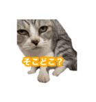 待ち合わせで使うかしら？（個別スタンプ：4）