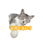 待ち合わせで使うかしら？（個別スタンプ：5）
