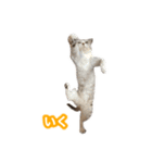 待ち合わせで使うかしら？（個別スタンプ：9）