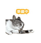 待ち合わせで使うかしら？（個別スタンプ：10）