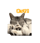 待ち合わせで使うかしら？（個別スタンプ：11）
