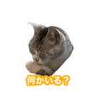 待ち合わせで使うかしら？（個別スタンプ：12）