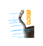 待ち合わせで使うかしら？（個別スタンプ：13）
