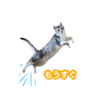 待ち合わせで使うかしら？（個別スタンプ：14）