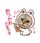 ゆるいねこのラムネとラスクのスタンプ（個別スタンプ：2）