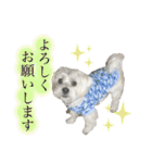 コタとパッチ（個別スタンプ：11）