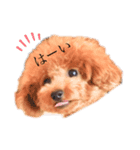 ココ＆サラ（個別スタンプ：4）