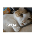 おデブのけんちゃん（個別スタンプ：1）
