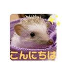 ちくちくちゃん①（個別スタンプ：2）