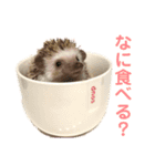 ちくちくちゃん①（個別スタンプ：3）