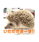ちくちくちゃん①（個別スタンプ：4）