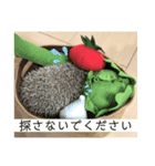 ちくちくちゃん①（個別スタンプ：7）
