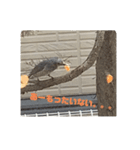 ヒヨドリの楽園（個別スタンプ：7）