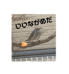 ヒヨドリの楽園（個別スタンプ：10）