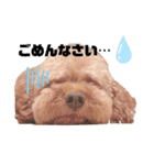 もこたとわたし（個別スタンプ：12）