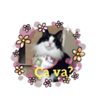 テオドールのフランス語（個別スタンプ：2）