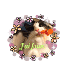 テオドールのフランス語（個別スタンプ：9）