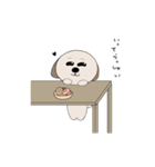 シーズー犬 ハッピー（個別スタンプ：2）