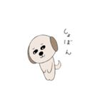 シーズー犬 ハッピー（個別スタンプ：5）