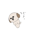 シーズー犬 ハッピー（個別スタンプ：7）