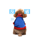 まいぺーすといぷー（個別スタンプ：7）