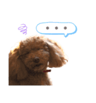 まいぺーすといぷー（個別スタンプ：8）