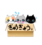 ゆる猫シンプル言葉スタンプ（文字大きめ）（個別スタンプ：28）